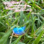 ヒメ日記 2025/02/16 13:44 投稿 あんり 甲府人妻隊