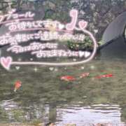 ヒメ日記 2025/02/18 10:17 投稿 あんり 甲府人妻隊