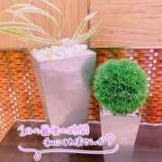 ヒメ日記 2025/02/22 16:49 投稿 あんり 甲府人妻隊