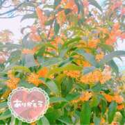 ヒメ日記 2025/02/23 02:09 投稿 あんり 甲府人妻隊