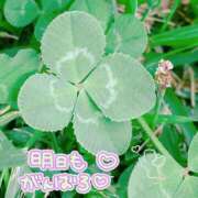 ヒメ日記 2025/03/04 15:38 投稿 あんり 甲府人妻隊