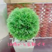 ヒメ日記 2025/03/20 09:53 投稿 あんり 甲府人妻隊