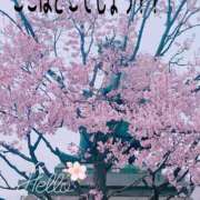 ヒメ日記 2025/03/28 00:13 投稿 あんり 甲府人妻隊
