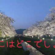 ヒメ日記 2025/03/31 09:15 投稿 あんり 甲府人妻隊