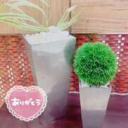 ヒメ日記 2025/04/05 11:33 投稿 あんり 甲府人妻隊