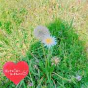 ヒメ日記 2025/04/07 10:54 投稿 あんり 甲府人妻隊