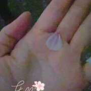 ヒメ日記 2025/04/09 23:12 投稿 あんり 甲府人妻隊