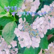 ヒメ日記 2025/06/12 10:37 投稿 あんり 甲府人妻隊