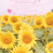 ヒメ日記 2025/07/26 10:34 投稿 あんり 甲府人妻隊