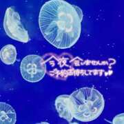 ヒメ日記 2025/07/30 22:01 投稿 あんり 甲府人妻隊