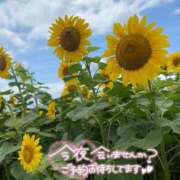 ヒメ日記 2025/08/15 18:38 投稿 あんり 甲府人妻隊