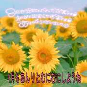 ヒメ日記 2025/09/01 09:56 投稿 あんり 甲府人妻隊