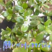 ヒメ日記 2025/11/02 22:08 投稿 あんり 甲府人妻隊