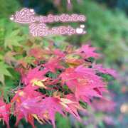 ヒメ日記 2025/11/27 15:26 投稿 あんり 甲府人妻隊