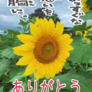 ヒメ日記 2025/11/30 21:24 投稿 あんり 甲府人妻隊