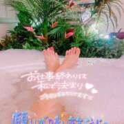 ヒメ日記 2026/01/26 19:29 投稿 あんり 甲府人妻隊