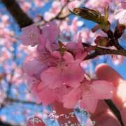 ヒメ日記 2026/03/09 19:23 投稿 あんり 甲府人妻隊