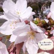 ヒメ日記 2026/03/23 19:09 投稿 あんり 甲府人妻隊