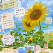 ヒメ日記 2026/07/29 10:06 投稿 あんり 甲府人妻隊