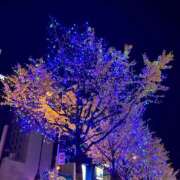 ヒメ日記 2024/12/27 13:36 投稿 みさき ラブコレ