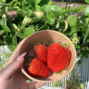 ヒメ日記 2026/03/05 13:24 投稿 みさき ラブコレ