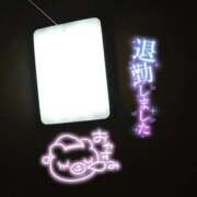 ヒメ日記 2026/04/14 01:09 投稿 なつな【高山発】 高山キャッツ