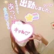 ヒメ日記 2026/07/23 13:09 投稿 なつな【高山発】 高山キャッツ