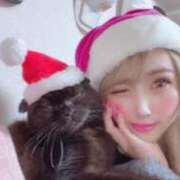 ヒメ日記 2024/12/16 22:04 投稿 HONEY さくらん東京