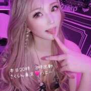 ヒメ日記 2025/06/17 21:30 投稿 HONEY さくらん東京