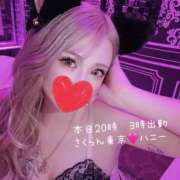 ヒメ日記 2025/06/17 23:45 投稿 HONEY さくらん東京