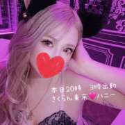 ヒメ日記 2025/06/20 02:00 投稿 HONEY さくらん東京