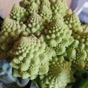 ヒメ日記 2025/01/24 09:53 投稿 なのは 奥鉄オクテツ東京店（デリヘル市場）