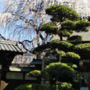 ヒメ日記 2025/03/30 07:34 投稿 なのは 奥鉄オクテツ東京店（デリヘル市場）