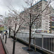 ヒメ日記 2025/04/05 06:32 投稿 なのは 奥鉄オクテツ東京店（デリヘル市場）