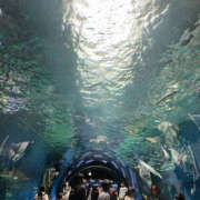 ヒメ日記 2025/06/14 06:41 投稿 なのは 奥鉄オクテツ東京店（デリヘル市場）