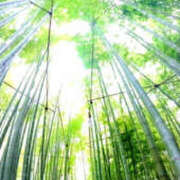 ヒメ日記 2025/09/07 07:25 投稿 なのは 奥鉄オクテツ東京店（デリヘル市場）