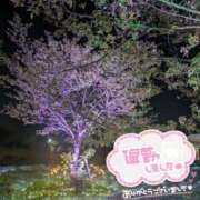 ヒメ日記 2025/03/01 19:56 投稿 えみり ぼくらのデリヘルランドin久喜店