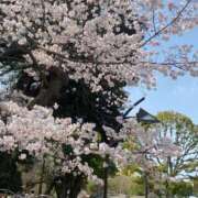 ヒメ日記 2025/04/05 16:33 投稿 泉 鶯谷デッドボール