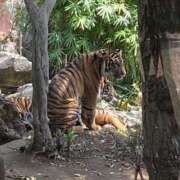 ヒメ日記 2025/04/05 17:52 投稿 泉 鶯谷デッドボール