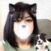 ヒメ日記 2025/07/20 18:23 投稿 泉 鶯谷デッドボール