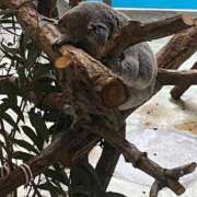 ヒメ日記 2026/03/12 13:05 投稿 泉 鶯谷デッドボール