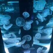 ヒメ日記 2026/04/24 18:49 投稿 泉 鶯谷デッドボール