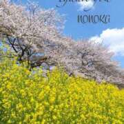 ヒメ日記 2025/04/12 17:21 投稿 ののか モアグループ熊谷人妻花壇