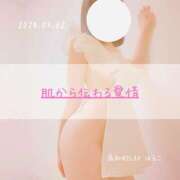 ヒメ日記 2025/03/02 21:30 投稿 新人 はるこ（Haruko） 出張メンズエステ RELAX【DIVAグループ】