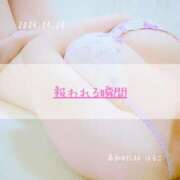 ヒメ日記 2025/04/20 21:01 投稿 新人 はるこ（Haruko） 出張メンズエステ RELAX【DIVAグループ】