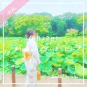 ヒメ日記 2025/08/17 15:10 投稿 新人 はるこ（Haruko） 出張メンズエステ RELAX【DIVAグループ】