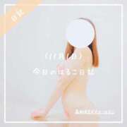 ヒメ日記 2025/11/01 22:31 投稿 新人 はるこ（Haruko） 出張メンズエステ RELAX【DIVAグループ】