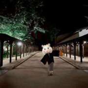 ヒメ日記 2025/05/27 10:00 投稿 さくら Fの法則