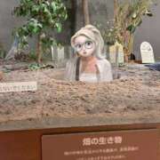 ヒメ日記 2025/09/17 19:00 投稿 さくら Fの法則