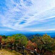 ヒメ日記 2025/11/12 09:14 投稿 さくら Fの法則